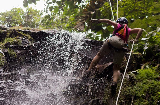 Arenal rainforest wildlife