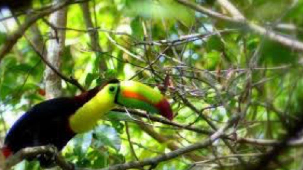 Floating and Wildlife Expedition Tour