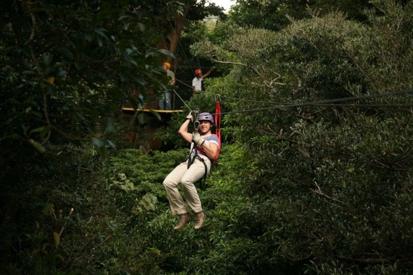 Canopy Tour