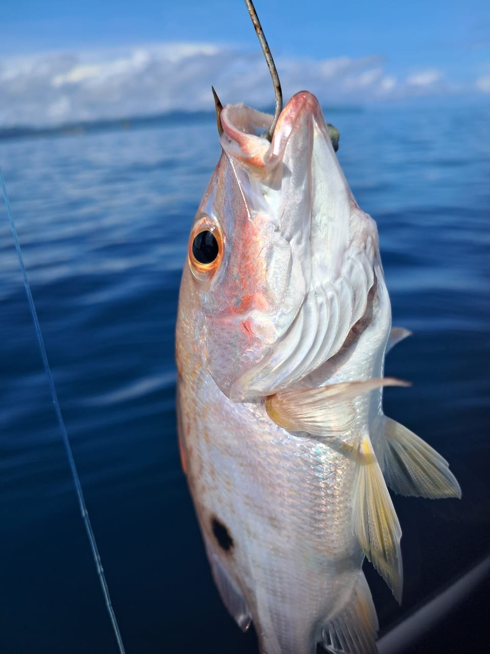 Sea Yaaa Fishing Boat Photo 3