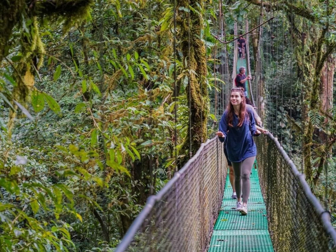 Treetop Walk and Wildlife Expedition