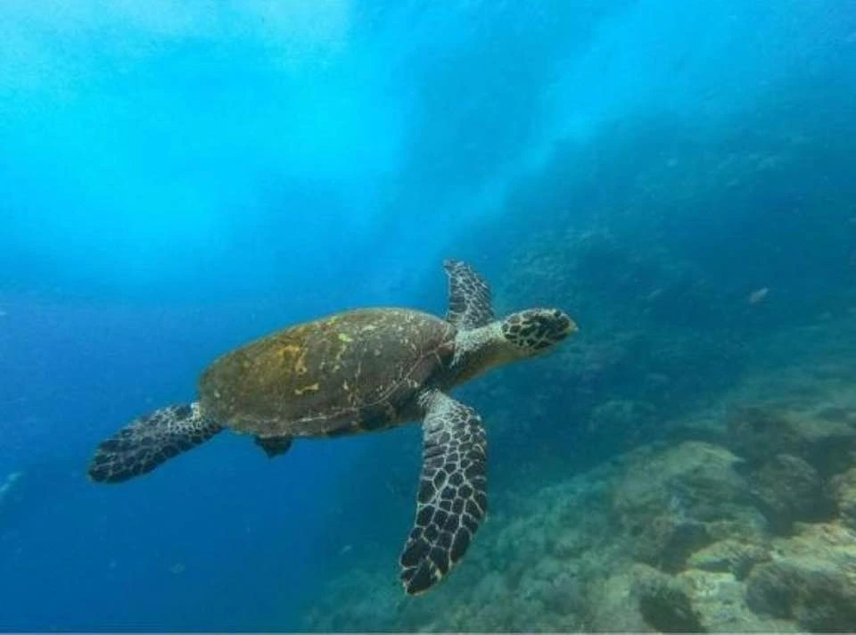 Nature and wildlife experience in Costa Rica