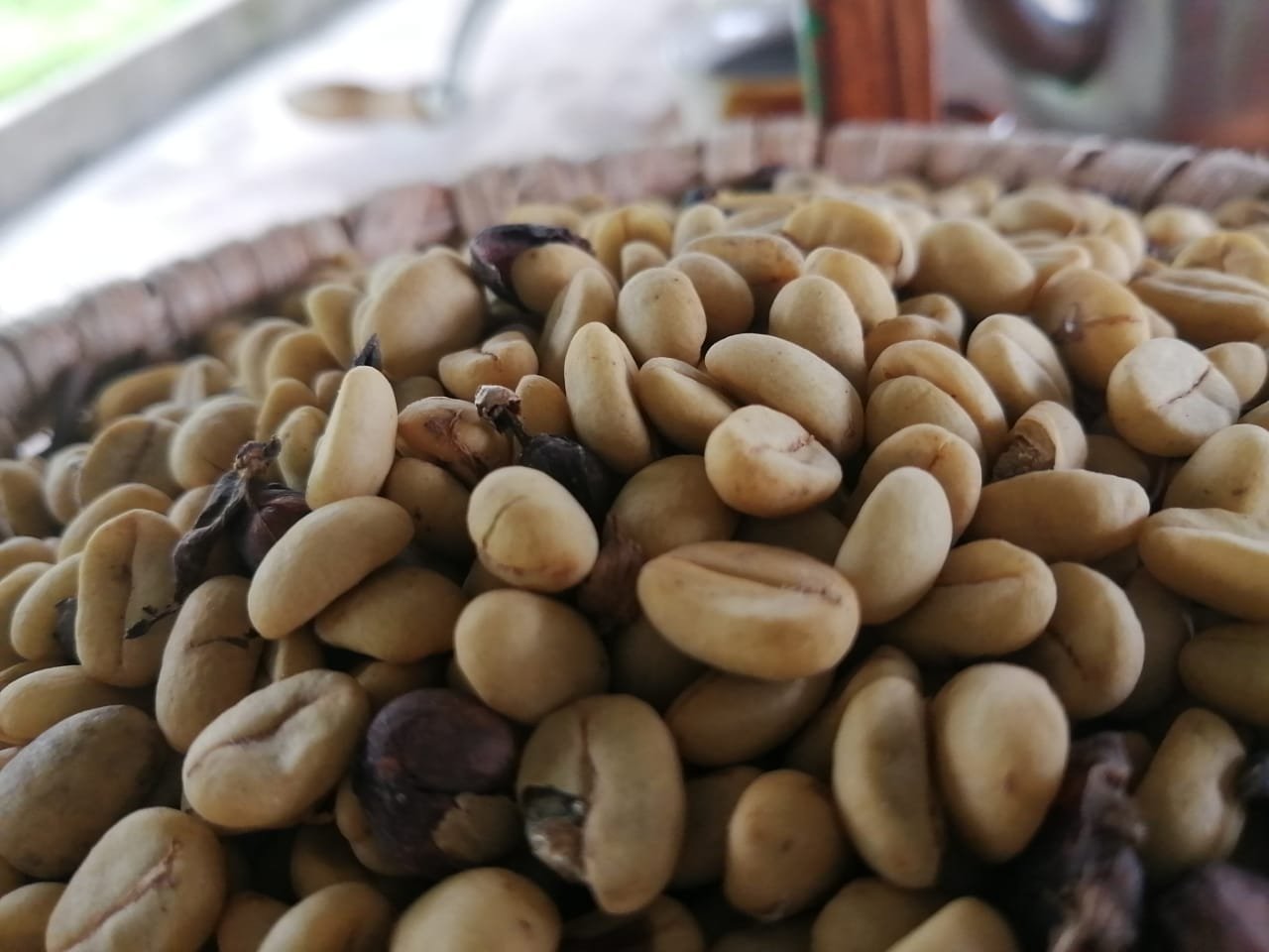 Coffee experience Costa Rica